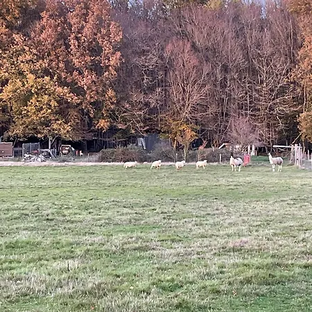 La Fermette Aux Lamas *